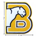 Birmingham Southern Panthers Style-1 Embroidered Iron On/Sew On Patch