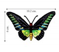 Butterfly Style-32 Embroidered Sew On Patch