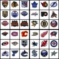 A ALL NHL National Hockey League 36 pcs. Embroidered Sew On Patch