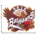 Erie BayHawks Style-1 Embroidered Sew On Patch