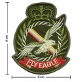 The Fly Eagle US Army Embroidered Sew On Patch