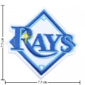 Tampa Bay Rays Style-2 Embroidered Iron On/Sew On Patch