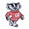 Wisconsin Badgers Style-2 Embroidered Iron On/Sew On Patch