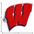 Wisconsin Badgers Style-1 Embroidered Iron On/Sew On Patch